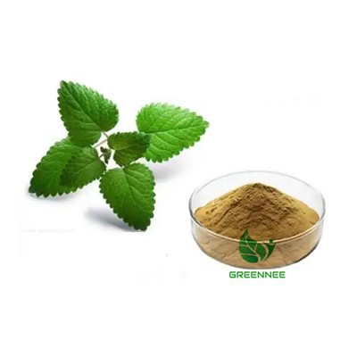 Melissa Officinalis extrakt Totalt isoflavoner 5%