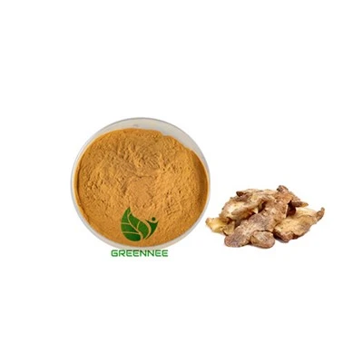 Solomonseal Rhizome Extract 10: 1; 50: 1; 100: 1 200: 1